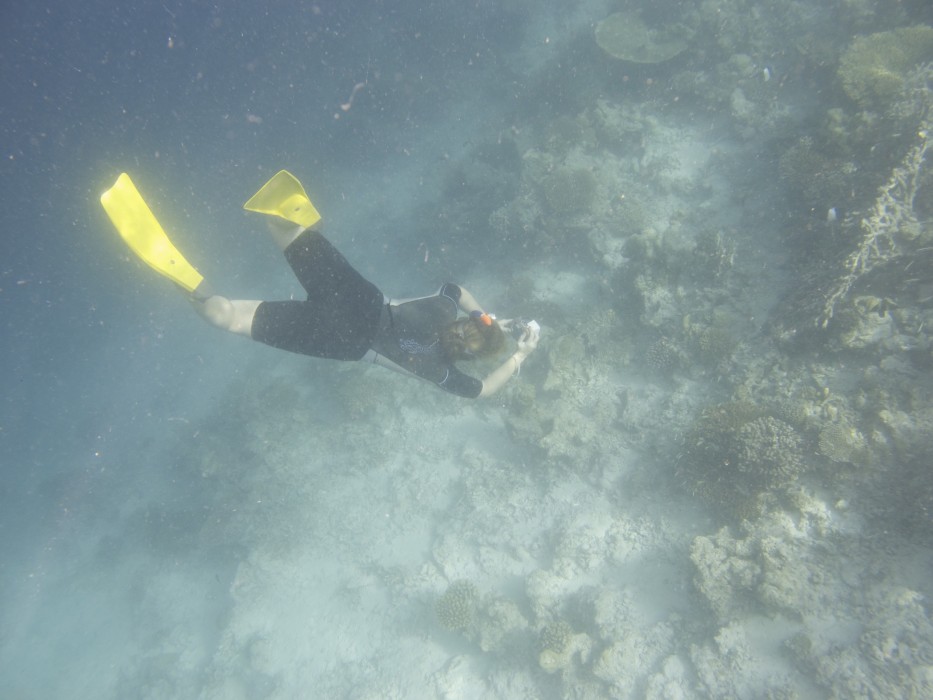 Warming Seas Continue to Plague Coral Reefs in Maldives