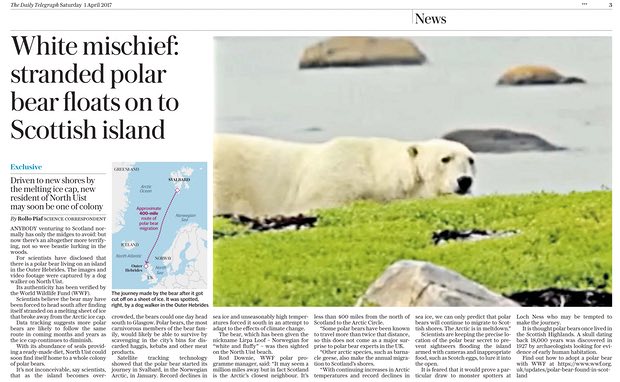 Polar bears spotted in Scotland as animals flee melting Arctic ice cap