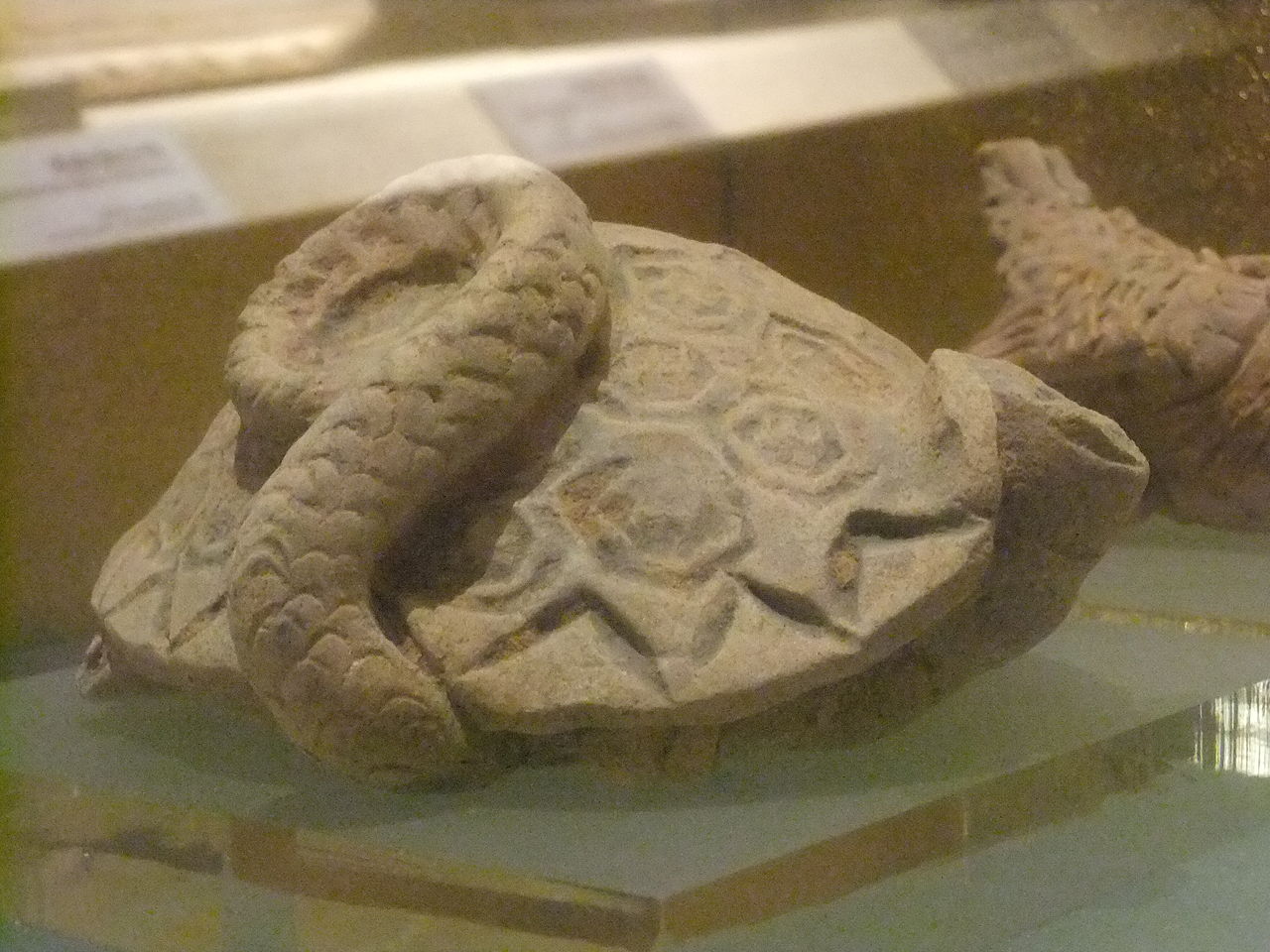 Figurine of Black Tortoise in Quanzhou Museum