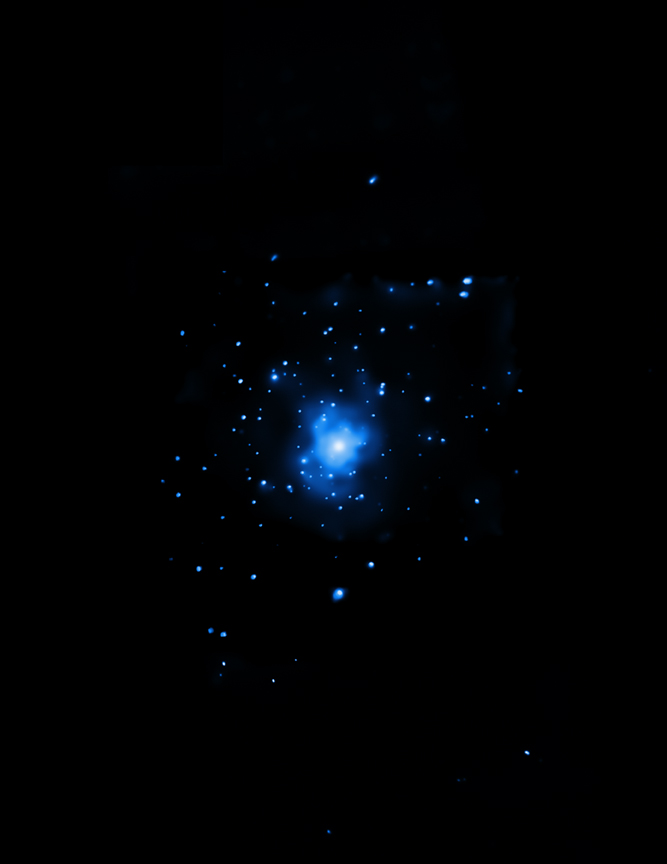 Chandra X-ray Image of M81