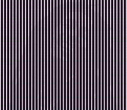 Hidden Photo Optical Illusion