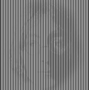 Hidden Photo Optical Illusion