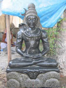 Gray Shiva