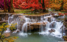 Waterfall and Red Trees