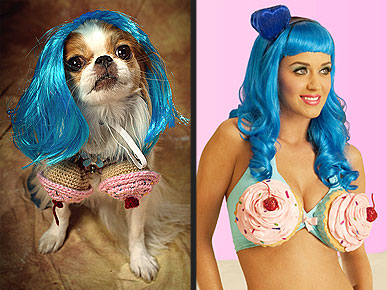 Katy Perry & look-alike dog.