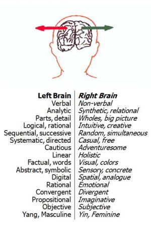 Left brain / Right brain