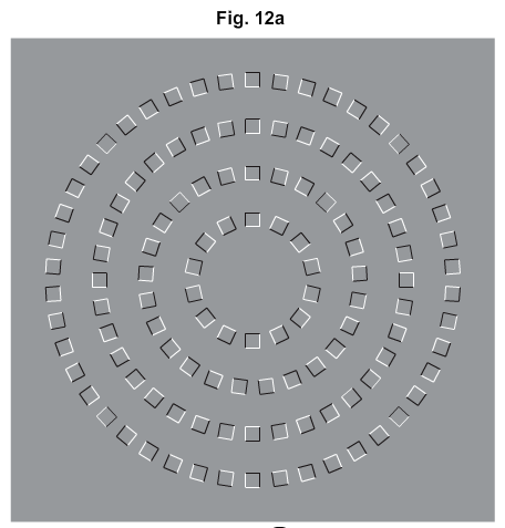 Pinna's Spiral Intertwining illusion