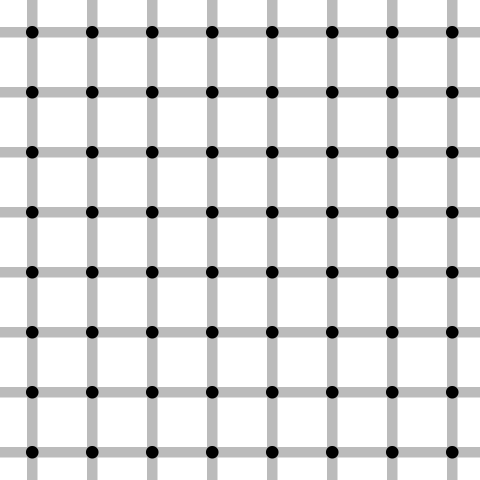 white scintillating grid illusion