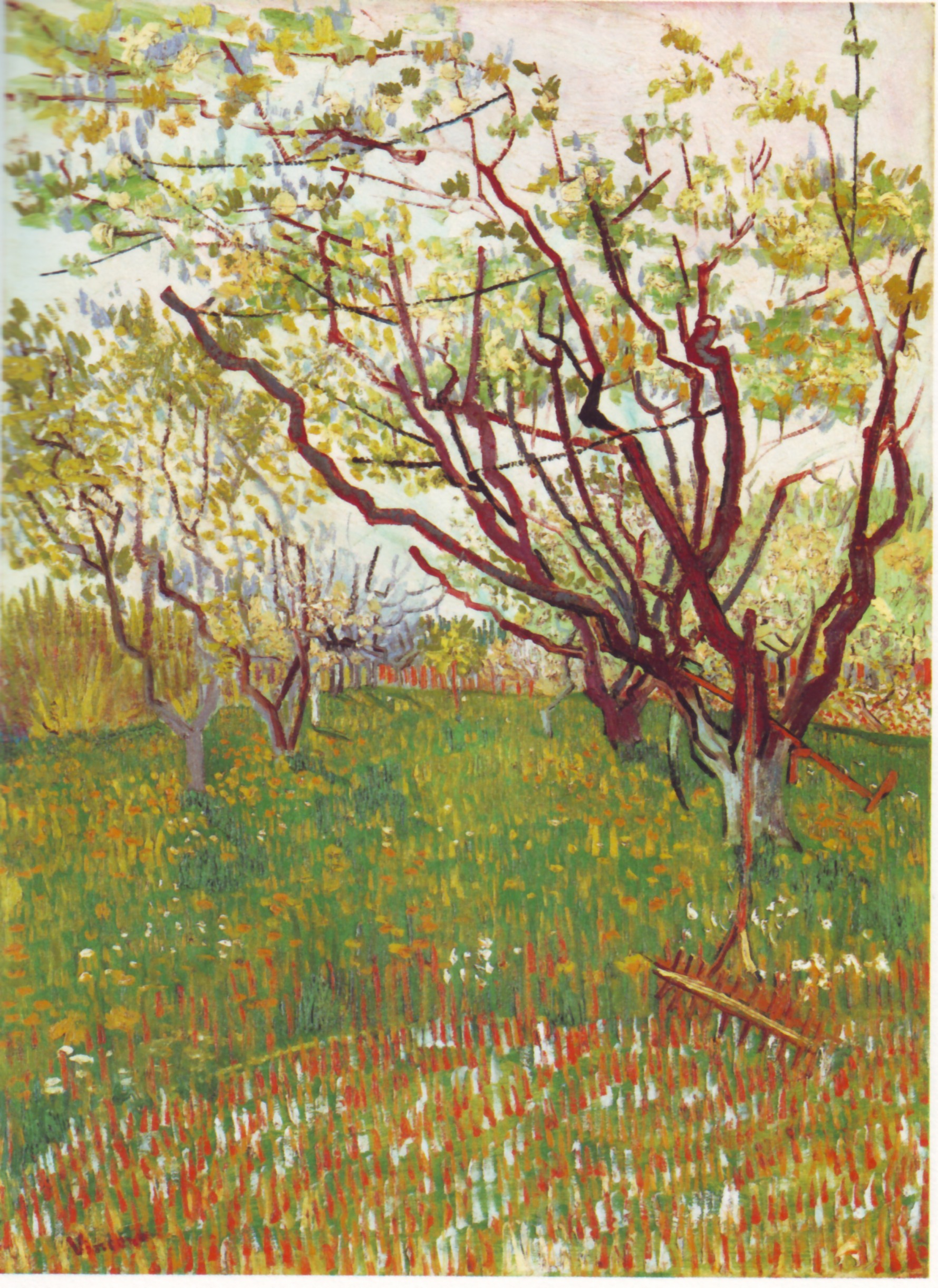 Vincent van Gogh: Kirschbaum