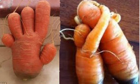 Weird Fruit