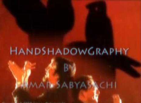 Handshadowgraphy