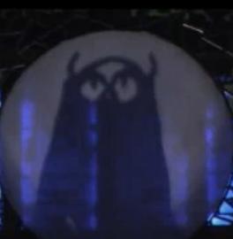 Hand Shadow Show in Sichuan, China