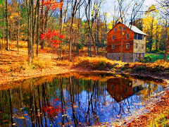 House Near Forest Pond Colorful Serenity Peaceful Lake