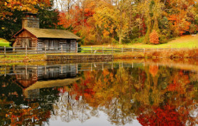 Fall Lake Serenity Clear Forest Pond Calm Quiet Autumn